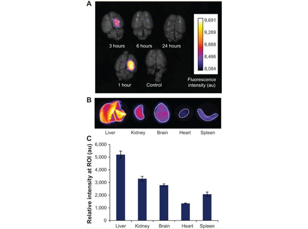 Fluorescent assay using Human Transferrin biotin Fluorescent assay using Human Transferrin biotin
