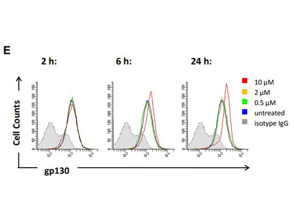 Flow Cytometry using Mouse IgG2a Flow Cytometry using Mouse IgG2a
