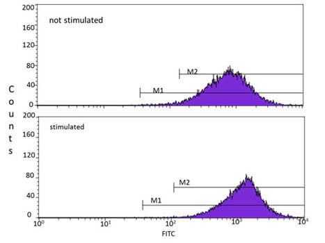 Anti-ATMpS1981 Flow Cytometry Anti-ATMpS1981 Flow Cytometry