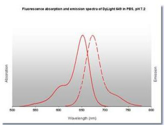 Properties of DyLight™ Fluorescent Dyes. Properties of DyLight™ Fluorescent Dyes.