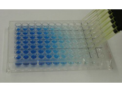 ELISA Microwell Coating Stabilizer - ELISA ELISA Microwell Coating Stabilizer - ELISA