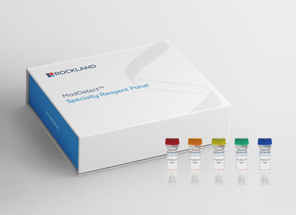 ModDetect™ 2'-O-Methyl (2'OMe) Panel ModDetect™ 2'-O-Methyl (2'OMe) Panel